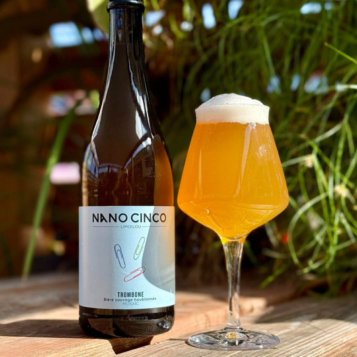 Trombone - Bière sauvage houblonnée - 5.5% - 750ml