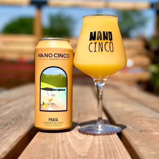 Praia - Catharina Sour - 5% - 4pack/473ml